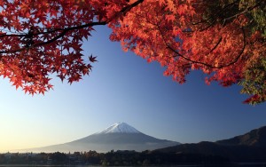 Núi Phú Sĩ mùa thu (Ảnh: st))
