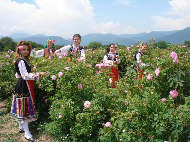 làng trong hoa hong buglaria