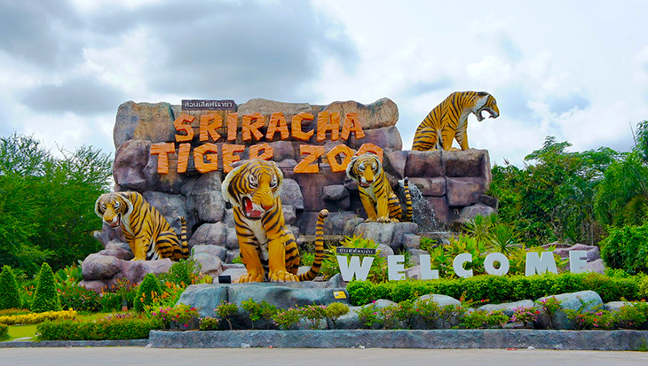 Siracha-Tiger-Zoo_01