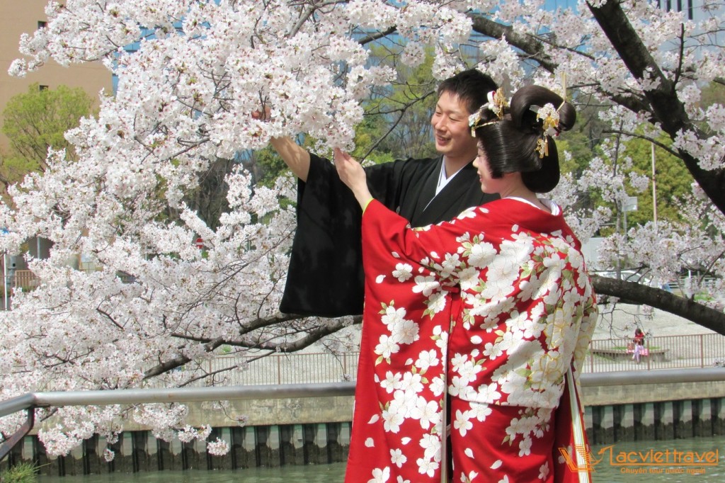 Bộ phận quyến rũ nhất của người phụ nữ Nhật khi mặc kimono