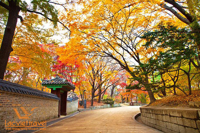 Du lịch Hàn Quốc mùa nào đẹp