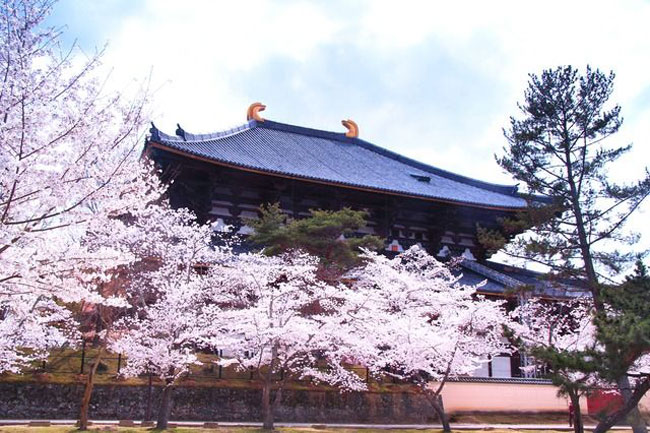 Đền đài Todaiji