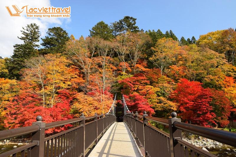 du lịch Nhật Bản mùa lá đỏ