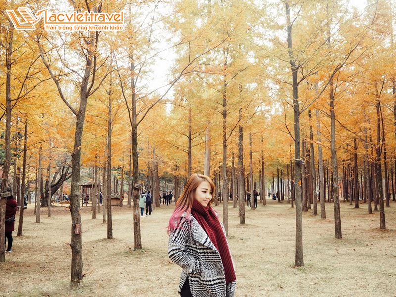 kinh nghiệm du lịch Hàn Quốc mùa thu