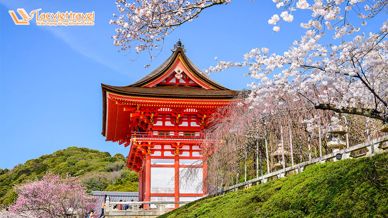 Du lịch Nhật Bản từ Hà Nội Mùa hoa anh đào