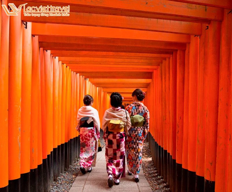 fushimi inari nhật bản văn hóa nhật bản cổng torii