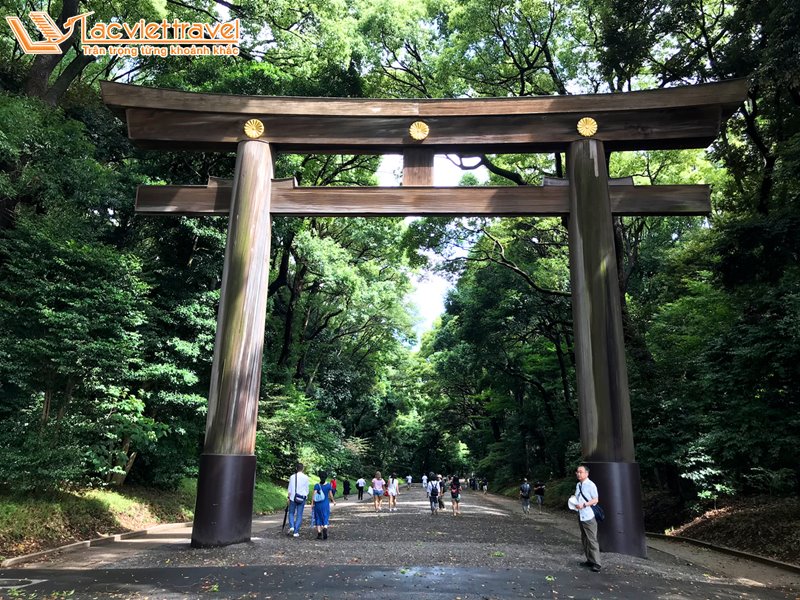 văn hóa nhật bản cổng torii meiji jingu 