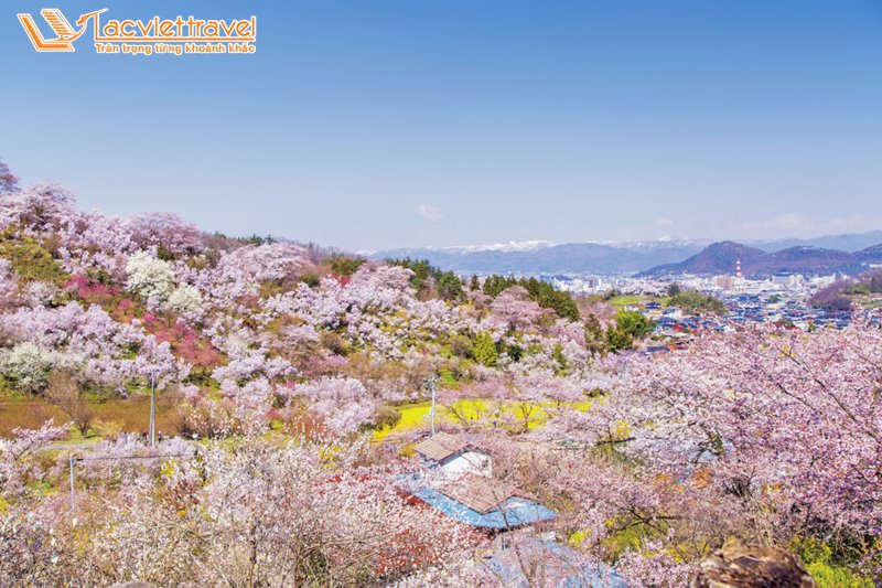 Du Lịch Nhật Bản mùa hoa anh đào 2020 Công Viên Hanamiyama